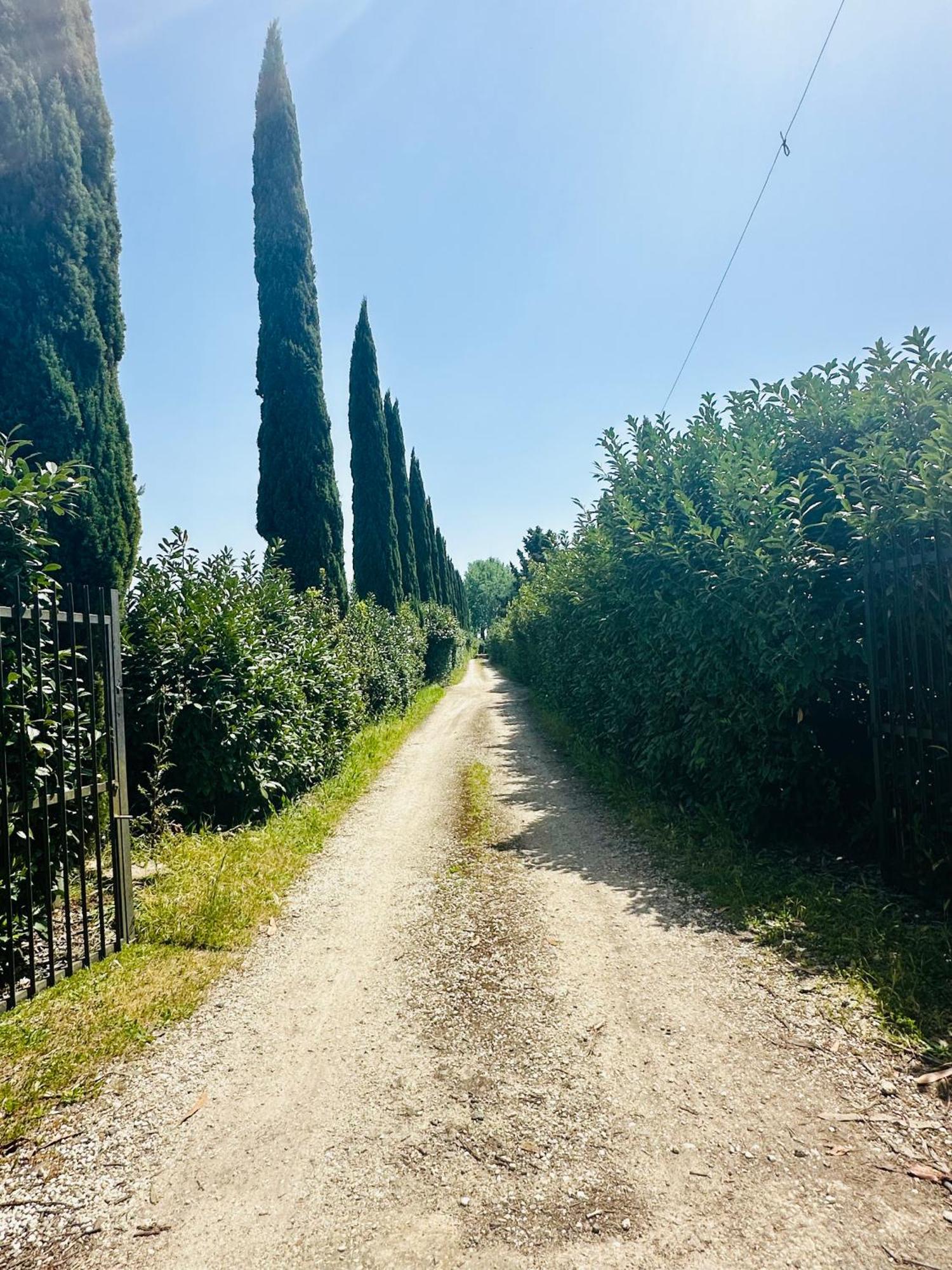 In Guest - Bb - Country House, Rent- Roma *